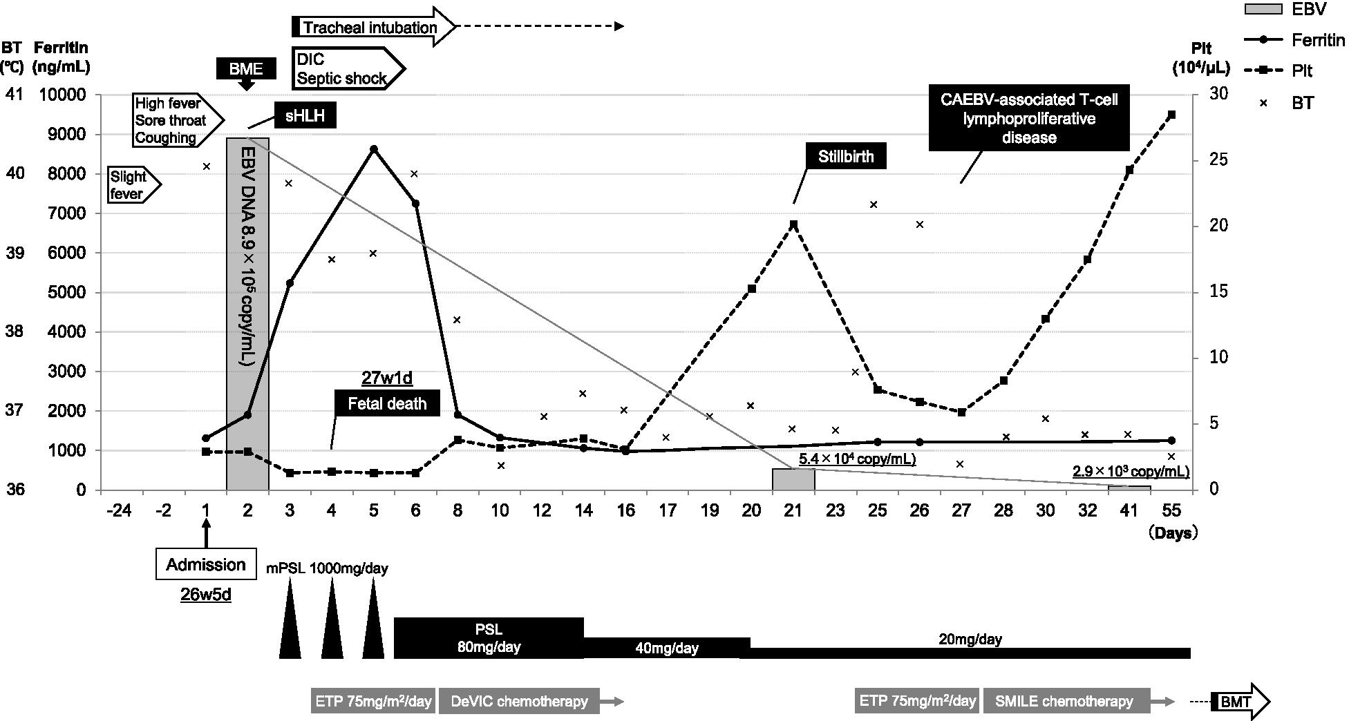 Fig. 3