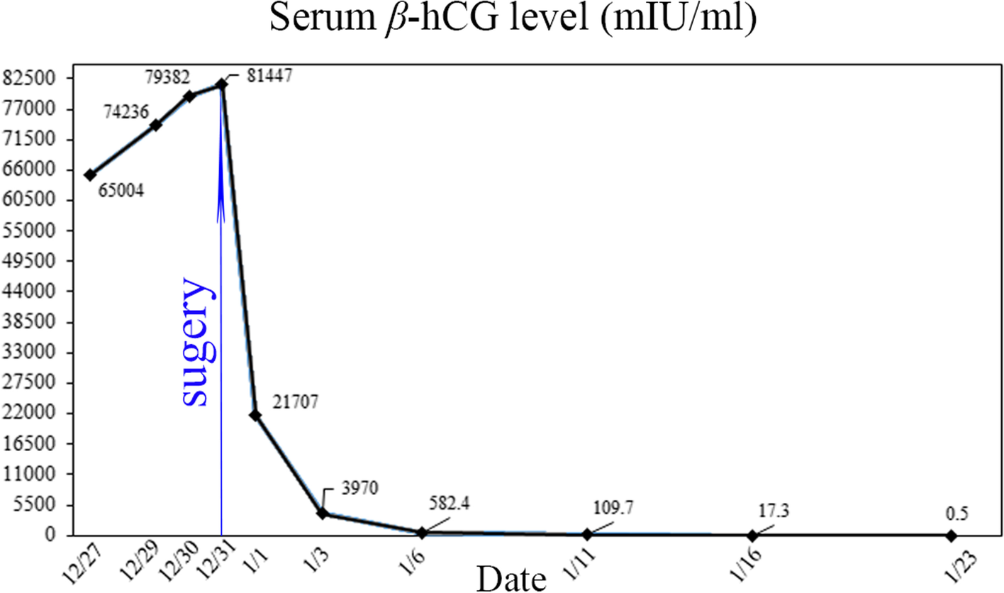 Fig.3