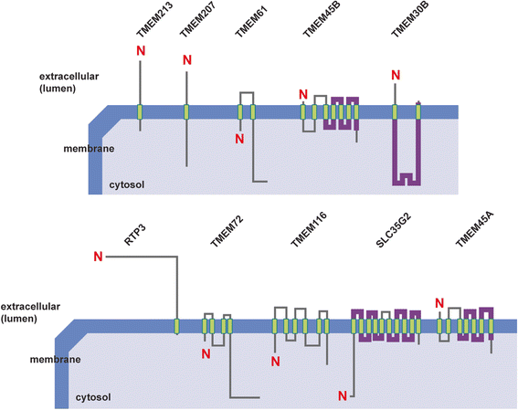 Fig. 5