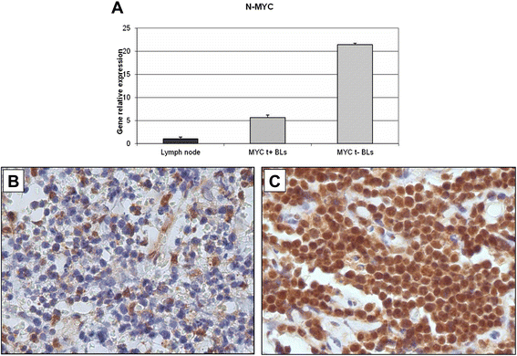 Fig. 8