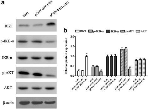 Fig. 11