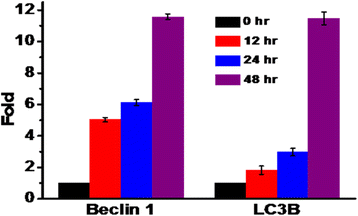 Fig. 8