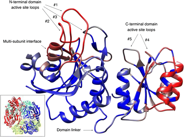 Fig. 3