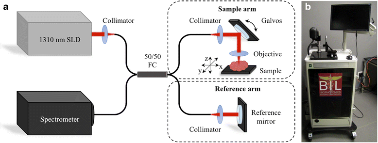 Fig. 1