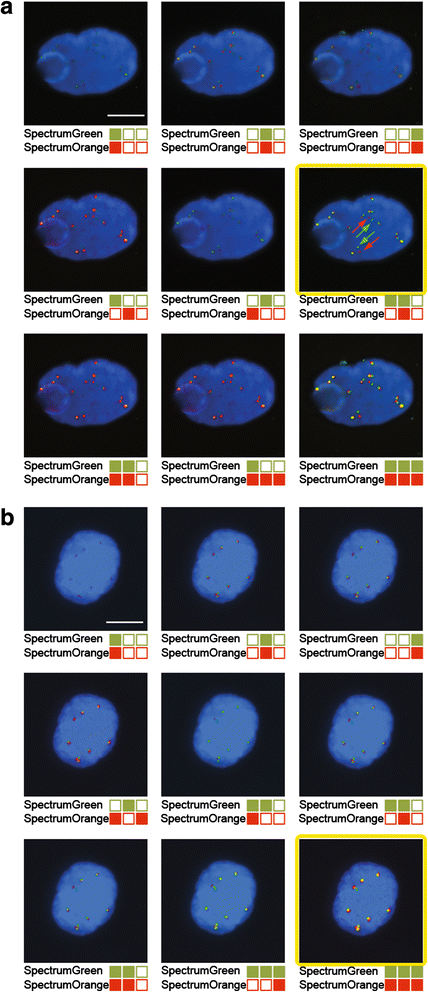 Fig. 4