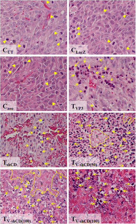 Fig. 5