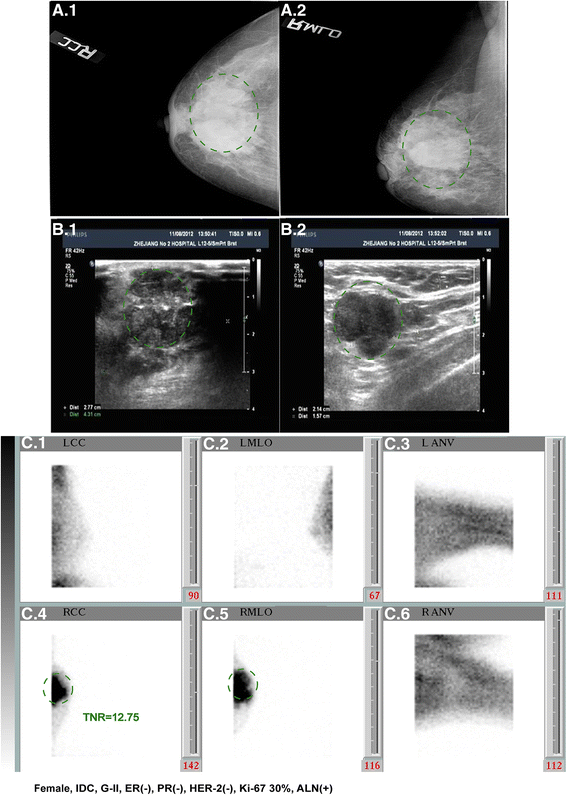 Fig. 5