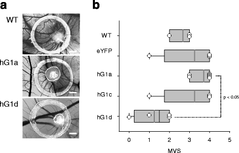 Fig. 9