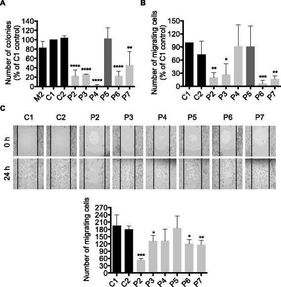 Fig. 11