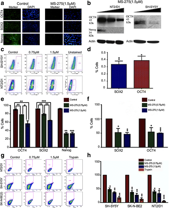 Fig. 12