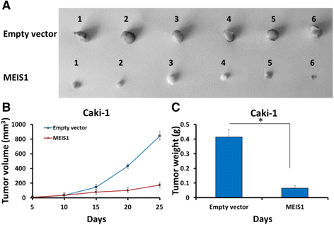 Fig. 11