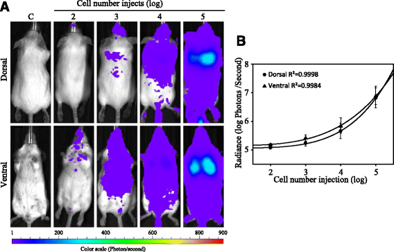 Fig. 2