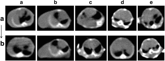 Fig. 5