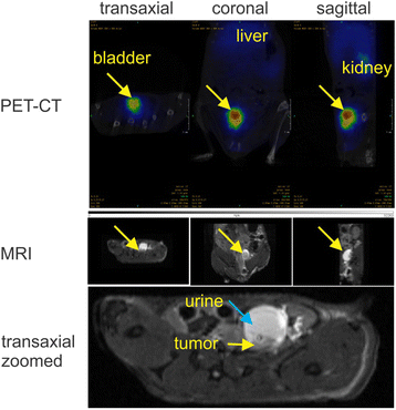 Fig. 7