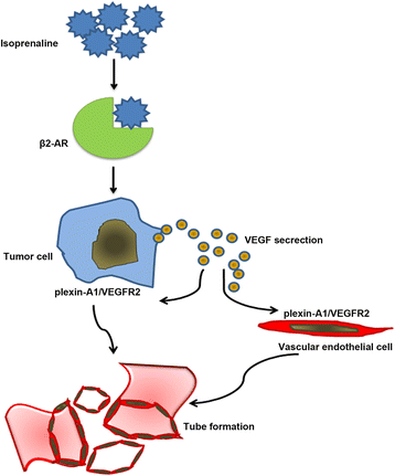 Fig. 12