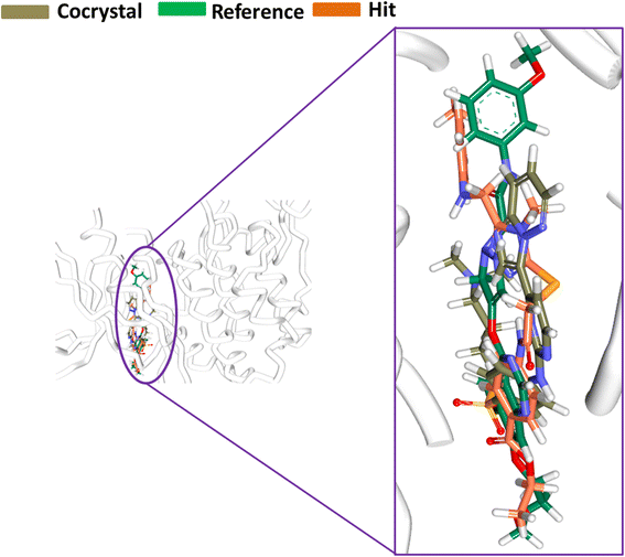 Fig. 18