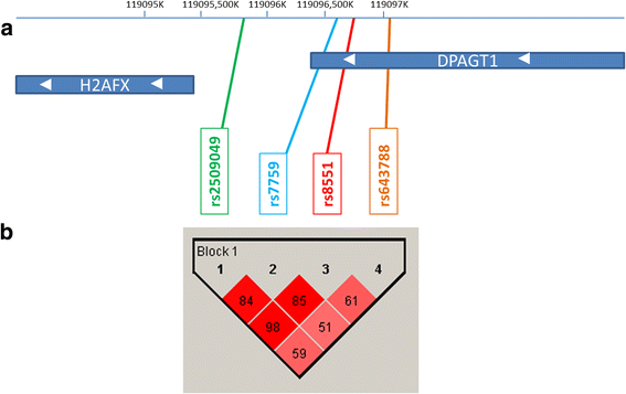 Fig. 1