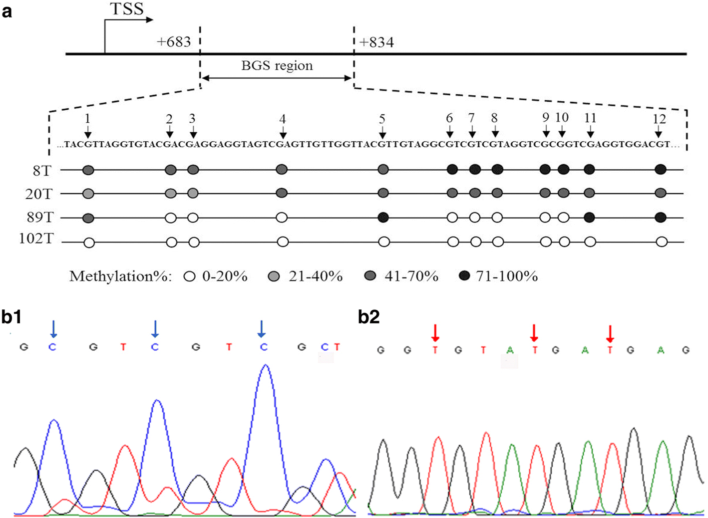 Fig. 3