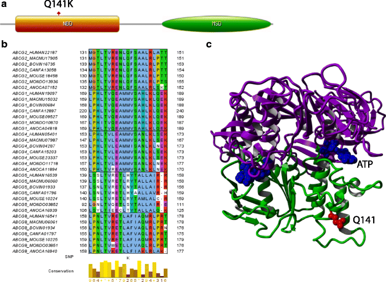 Fig. 3