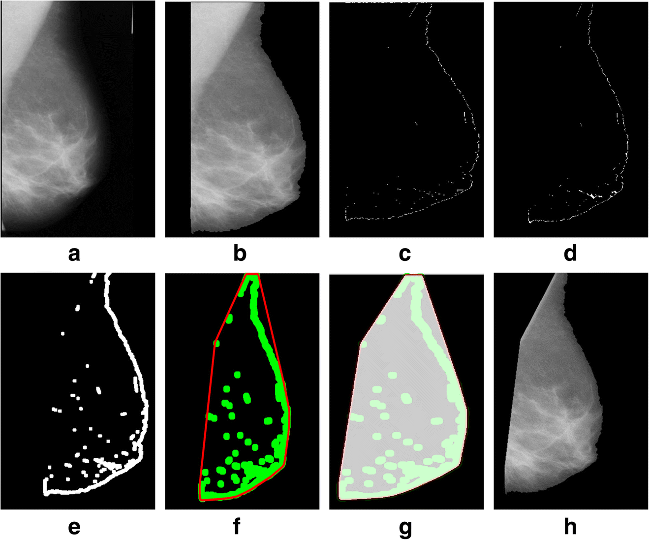 Fig. 10