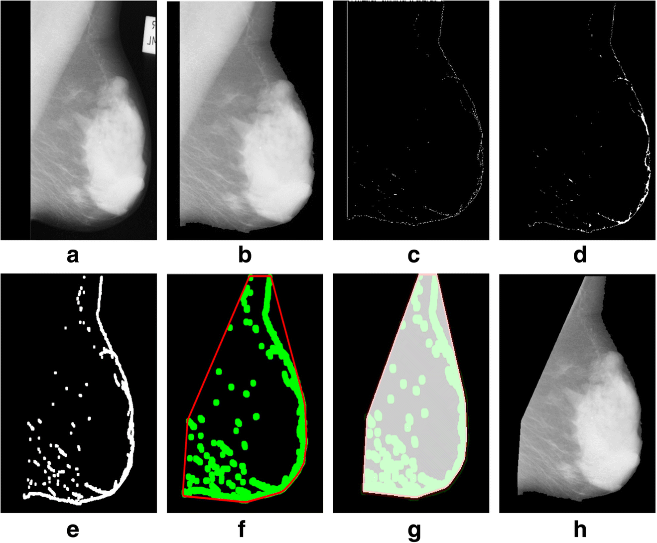 Fig. 12