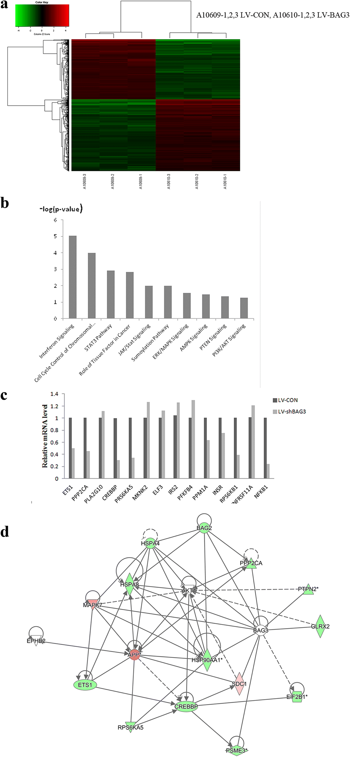 Fig. 10