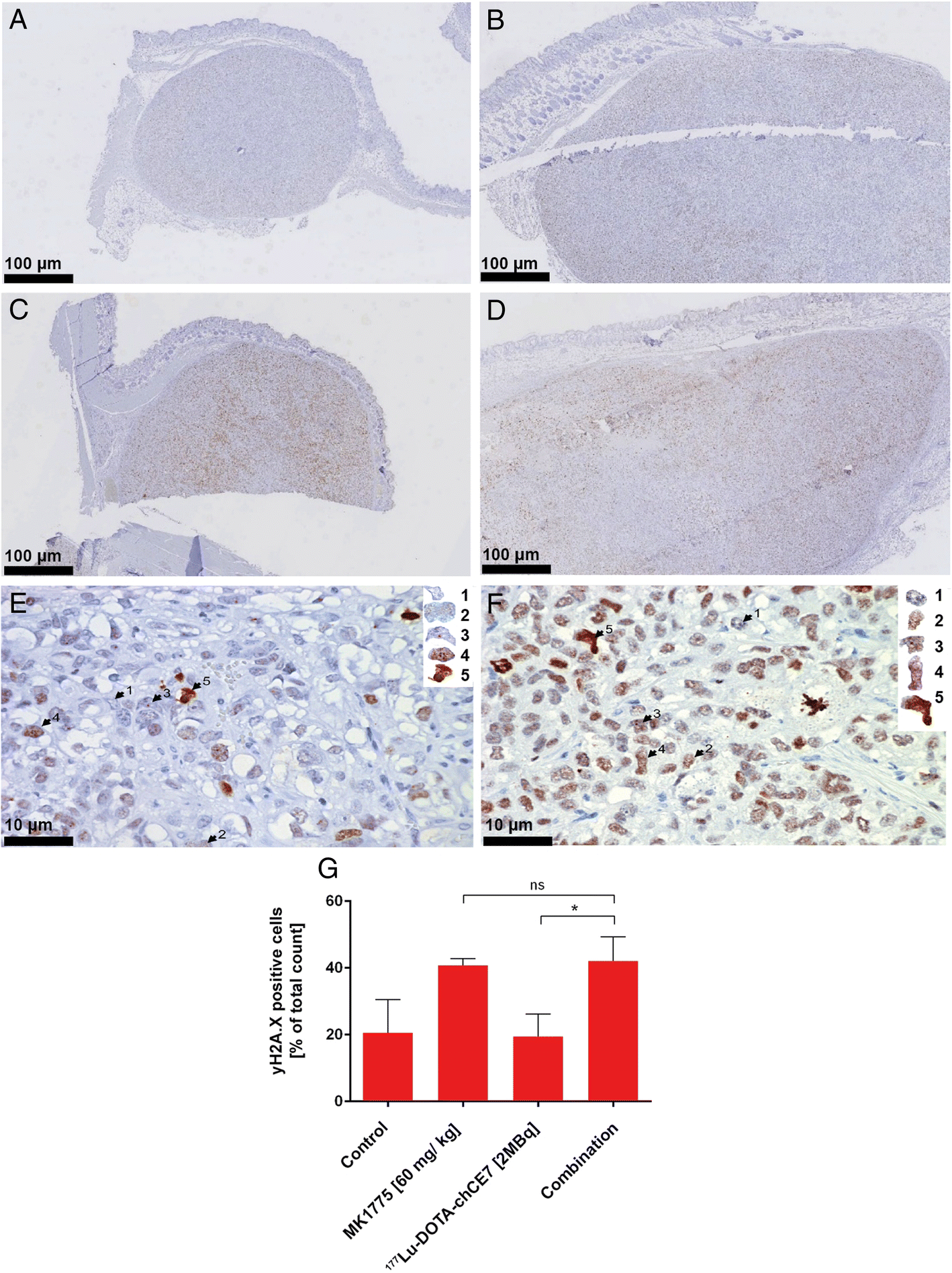 Fig. 5