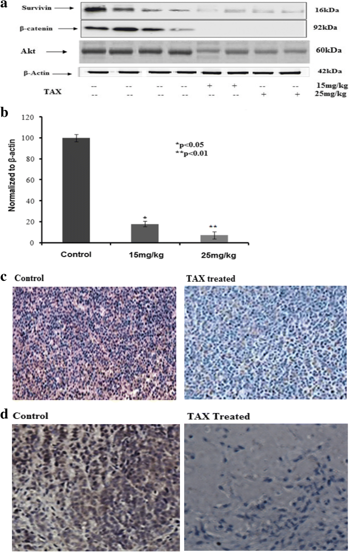 Fig. 11