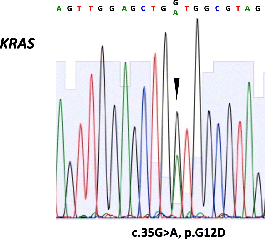 Fig. 5