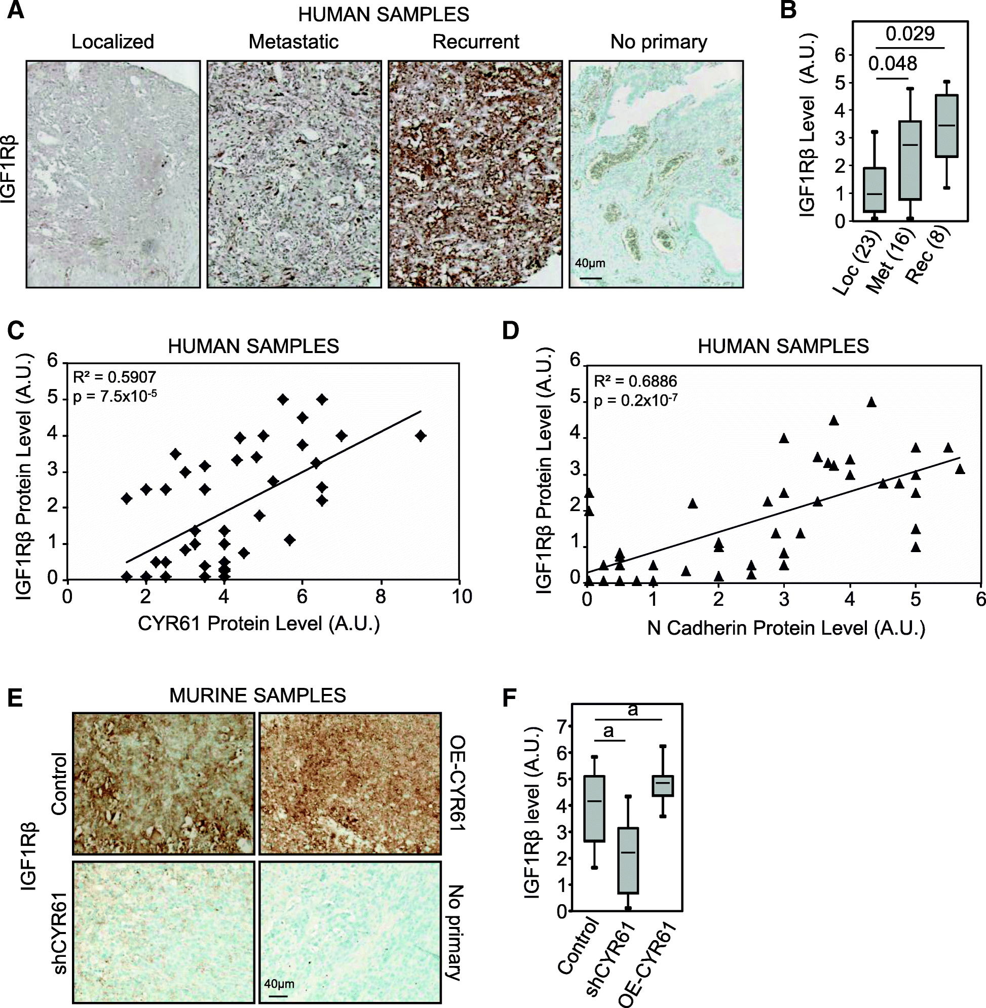 Fig. 5