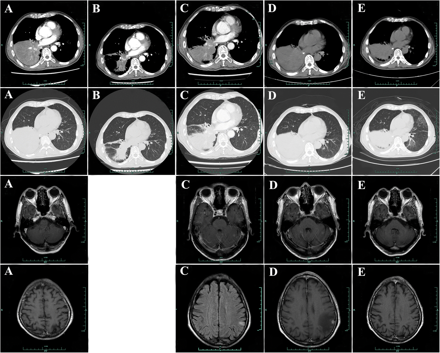 Fig. 5