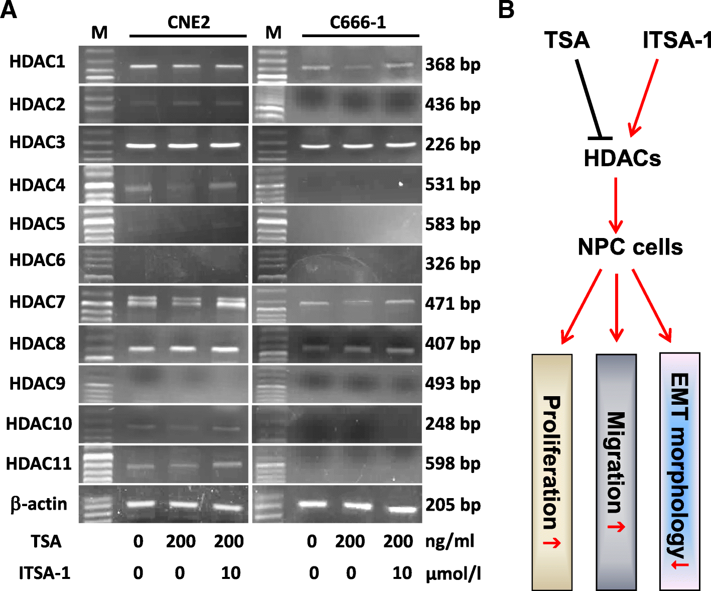 Fig 7