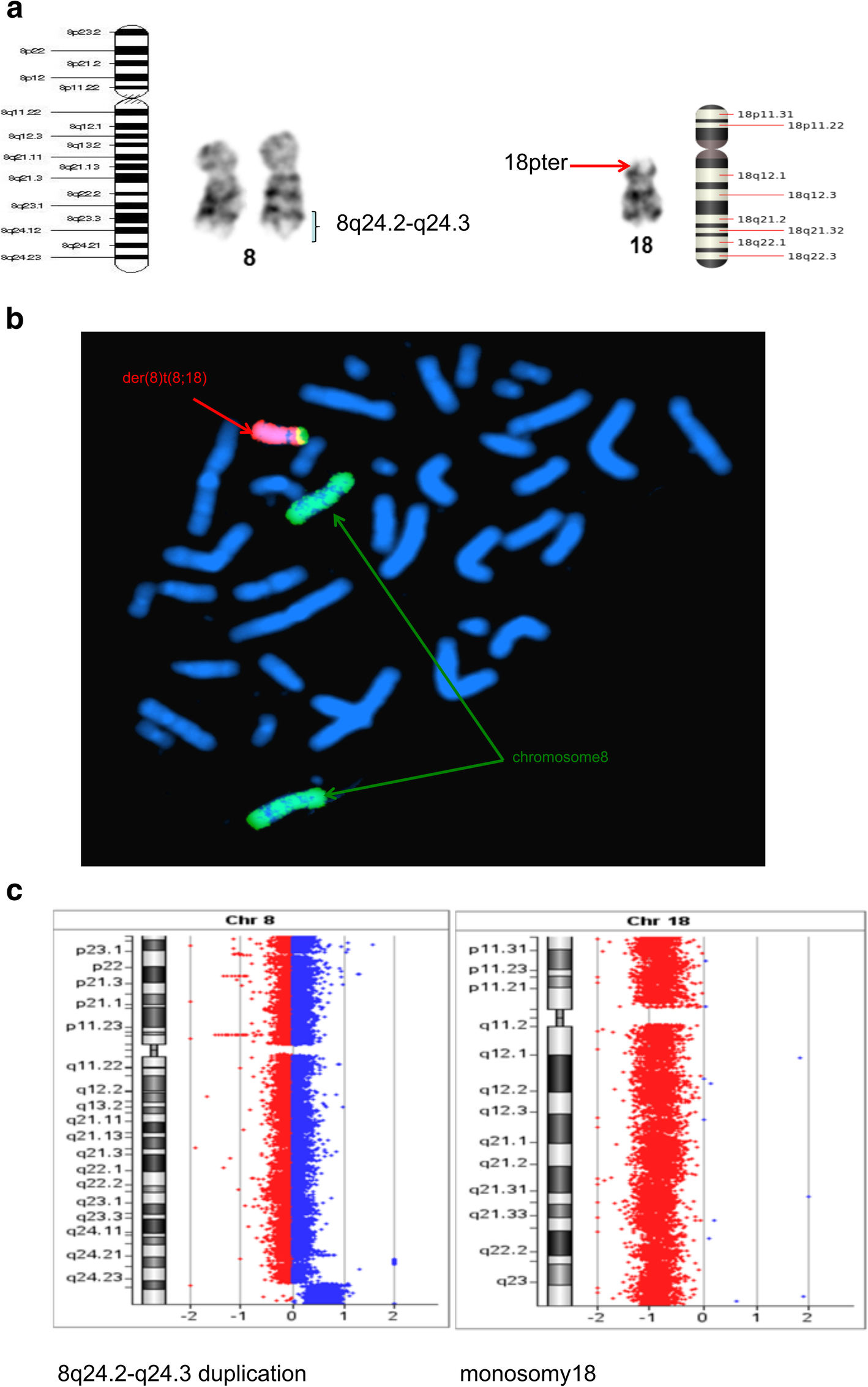 Fig. 4