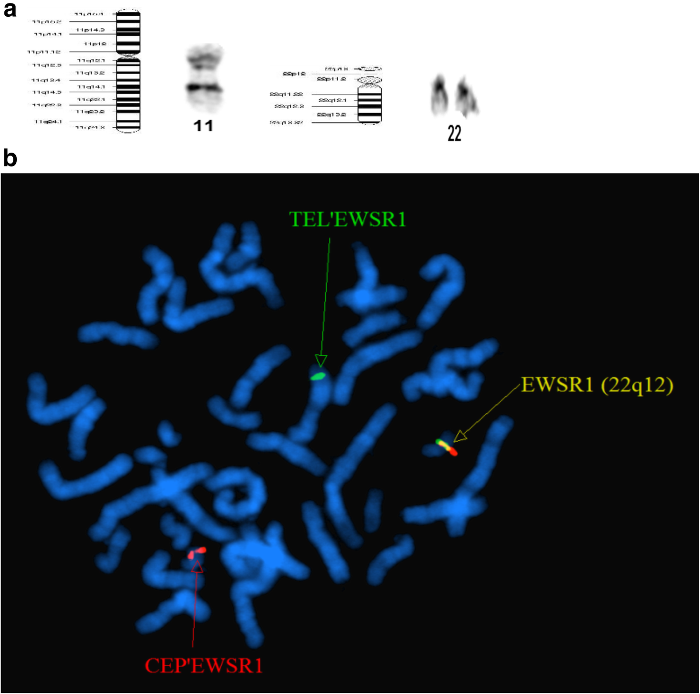 Fig. 6