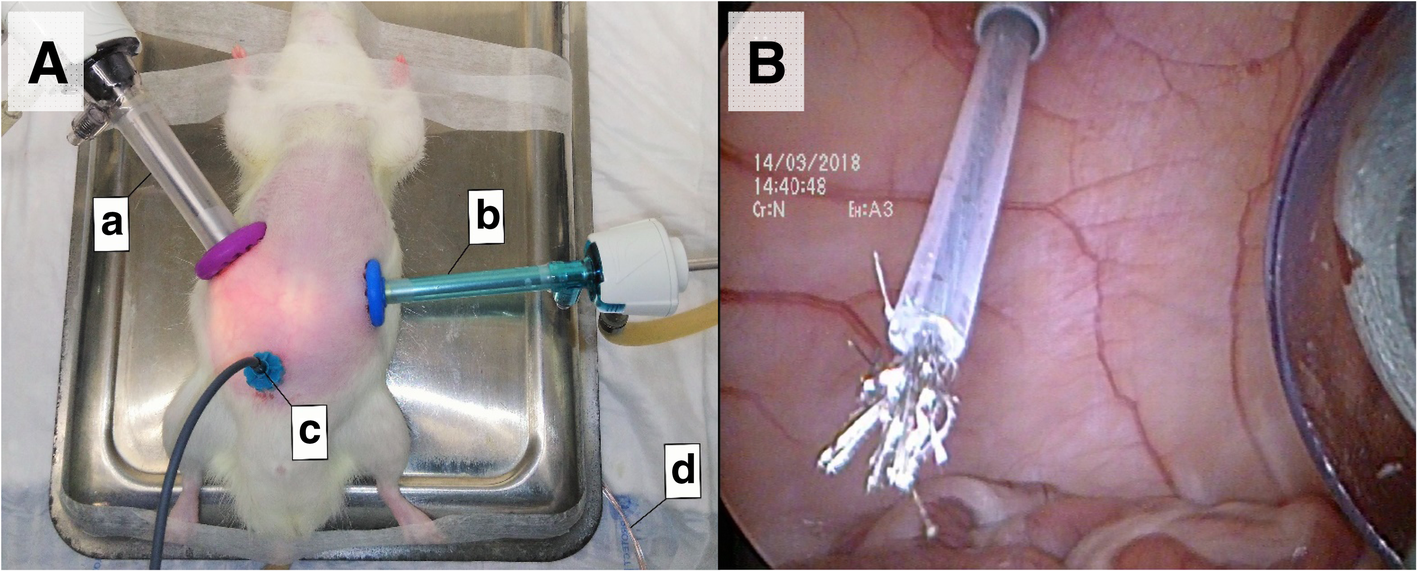 Fig. 1