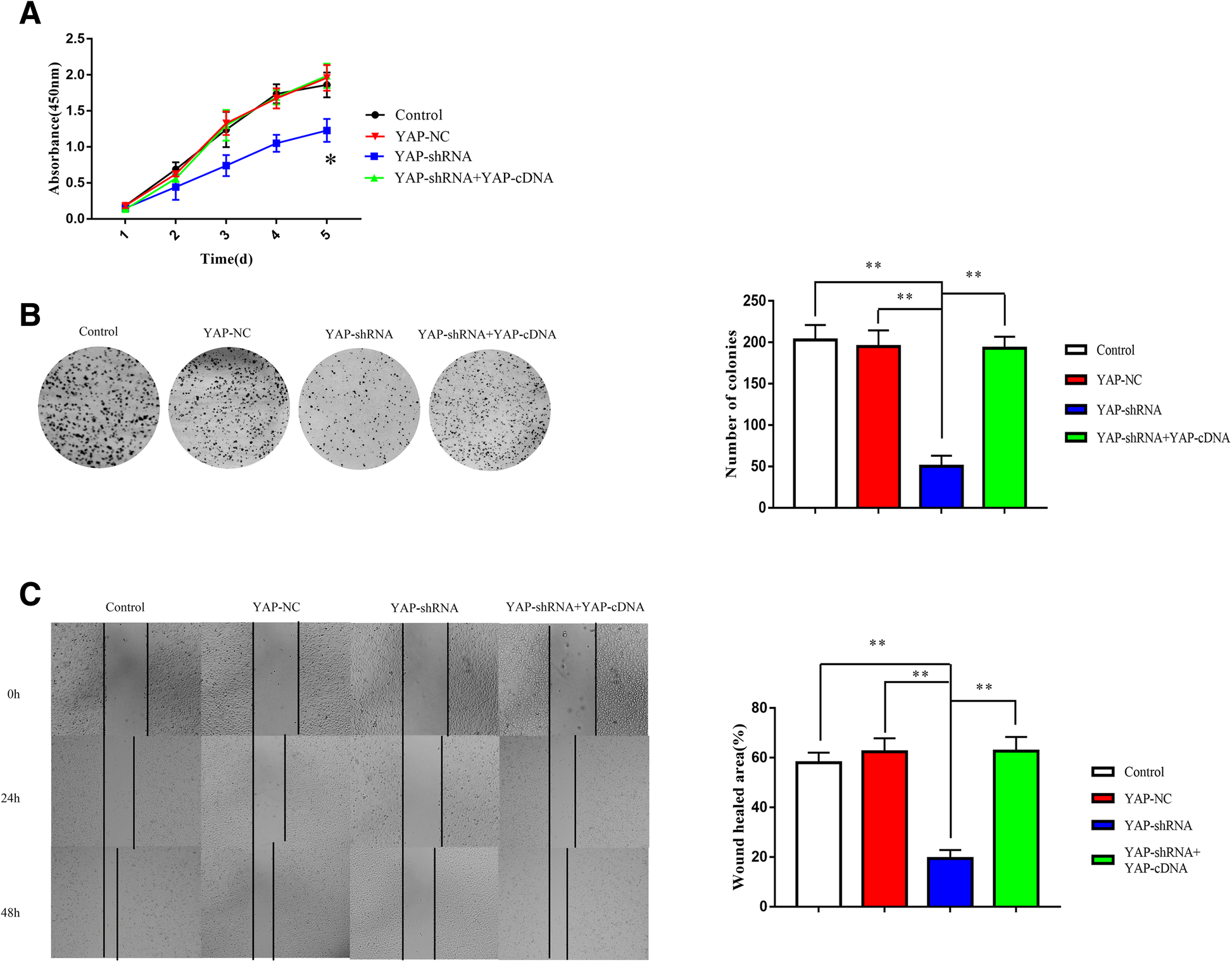 Fig. 2