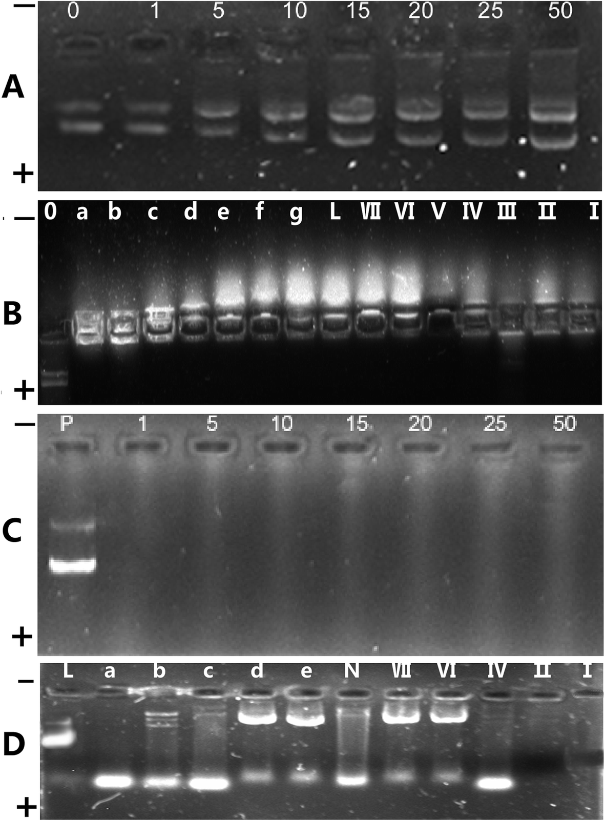 Fig. 10