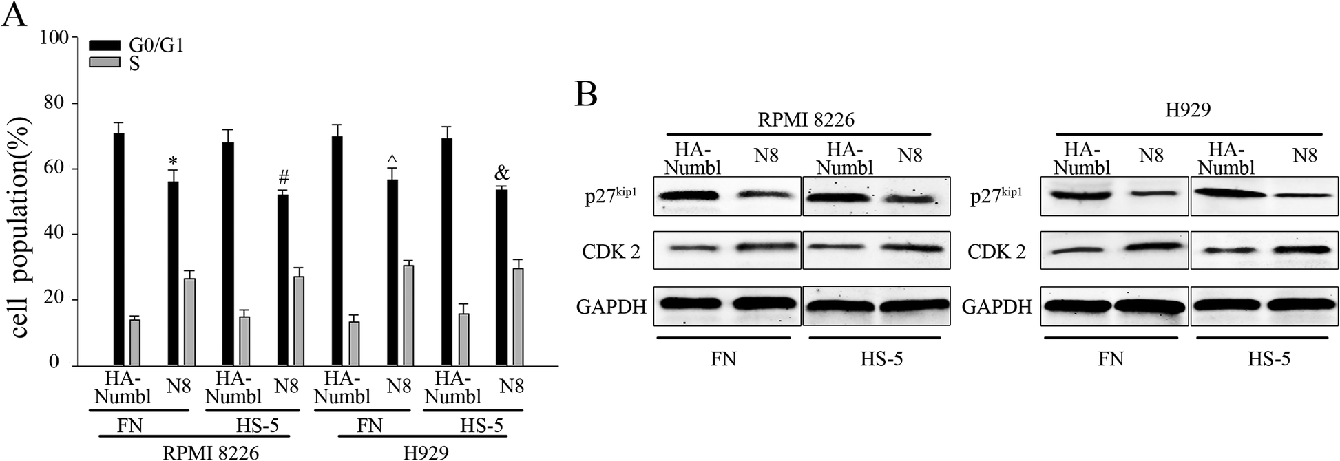 Fig. 10