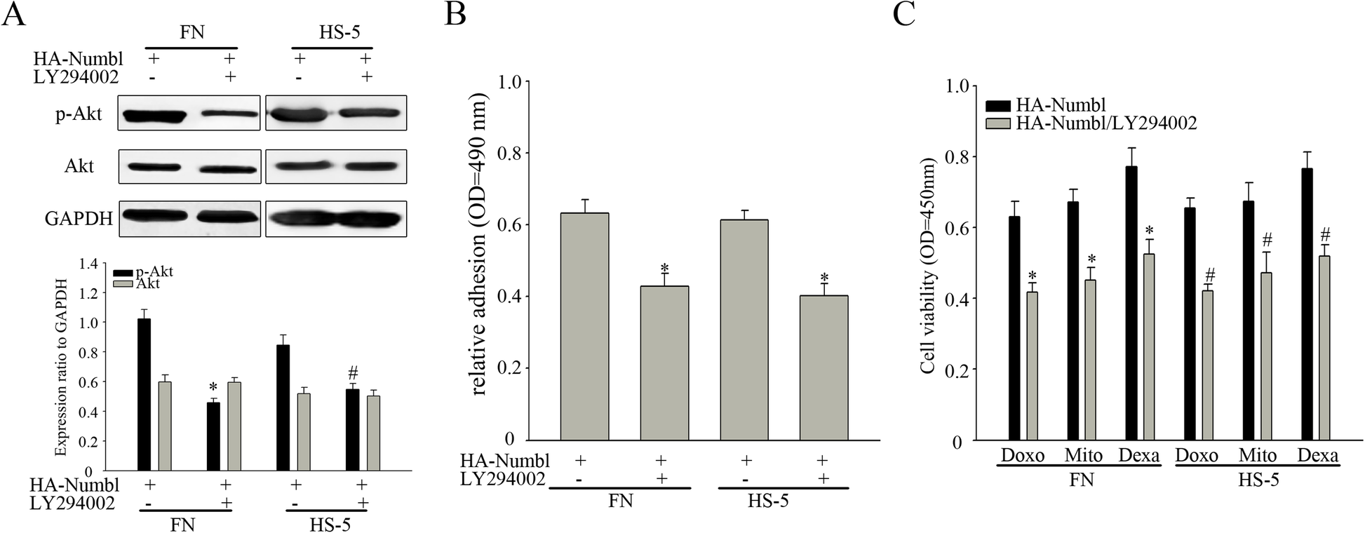 Fig. 12