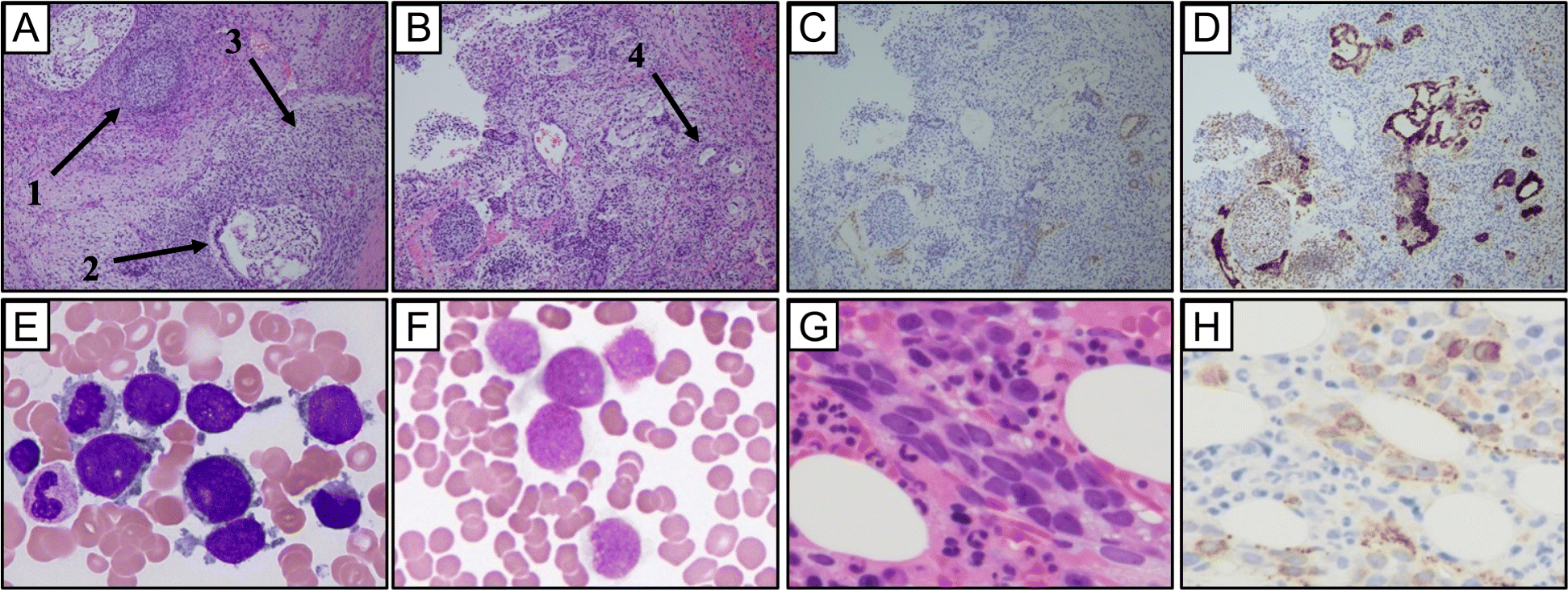 Fig. 2