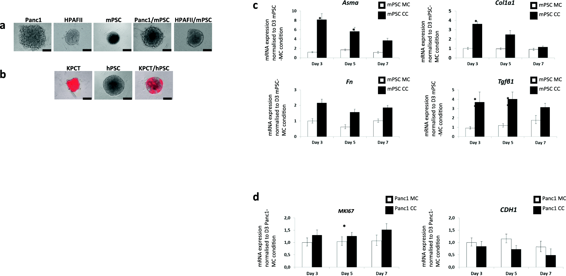 Fig. 5