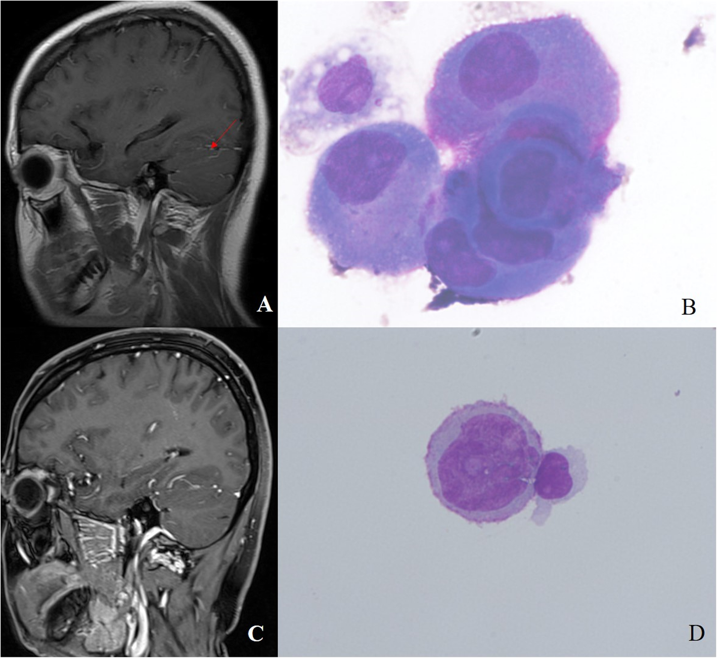 Fig. 8