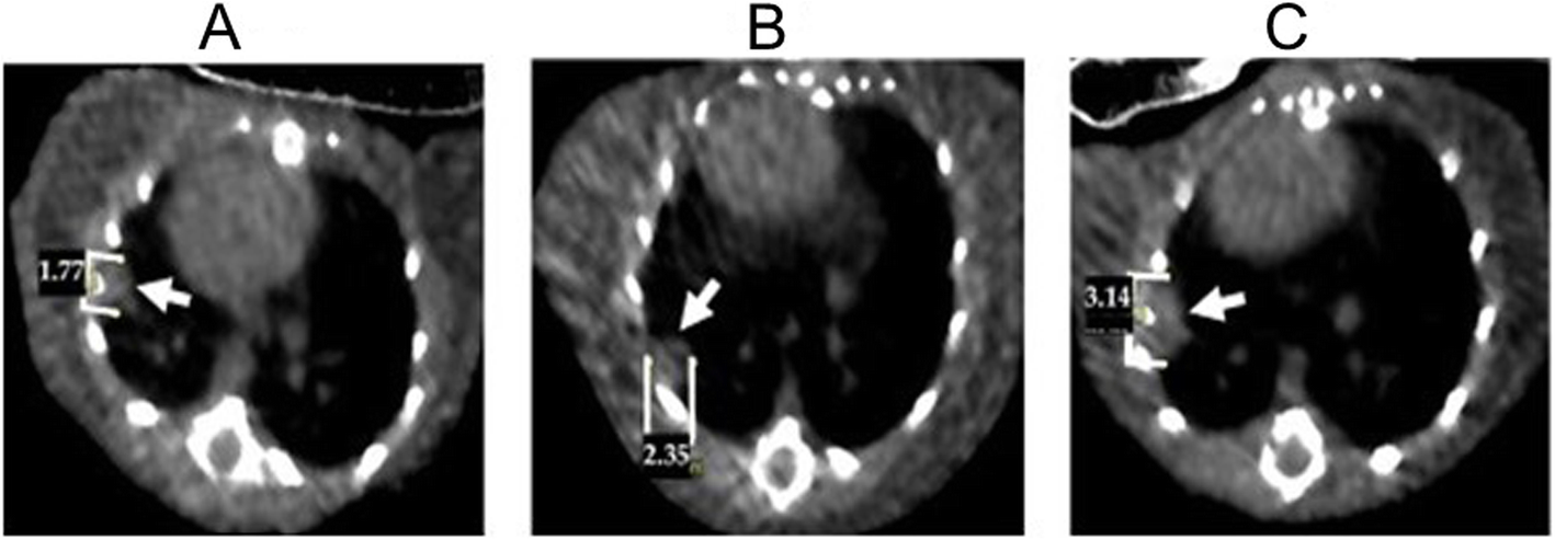 Fig. 5