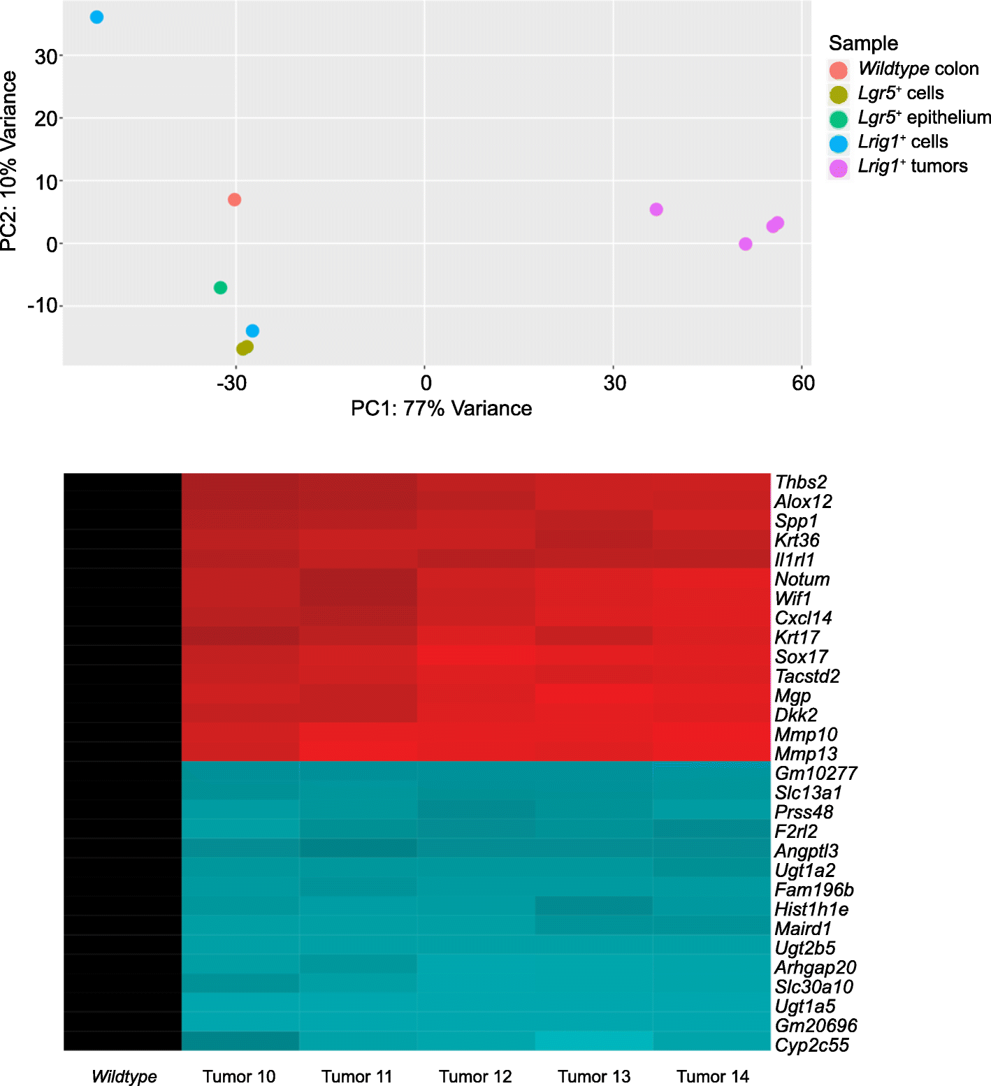 Fig. 6