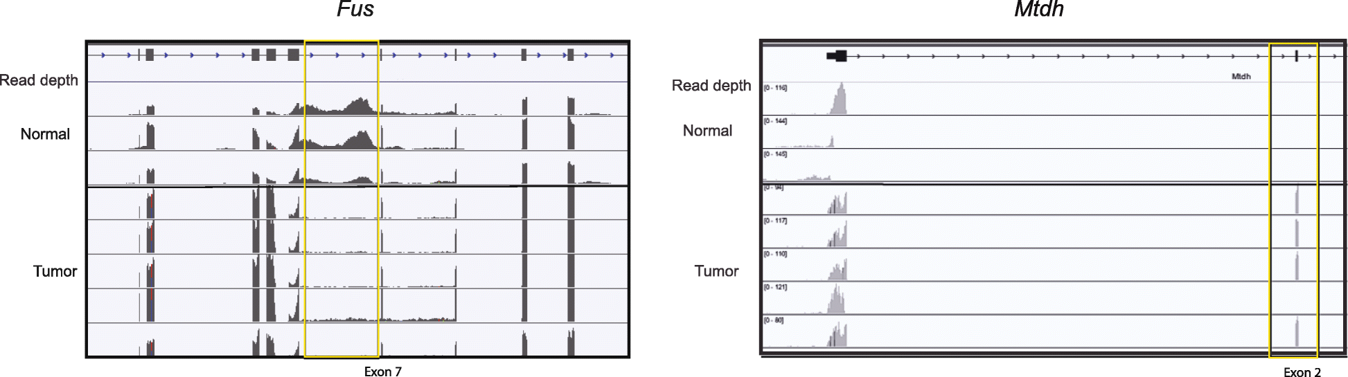 Fig. 7