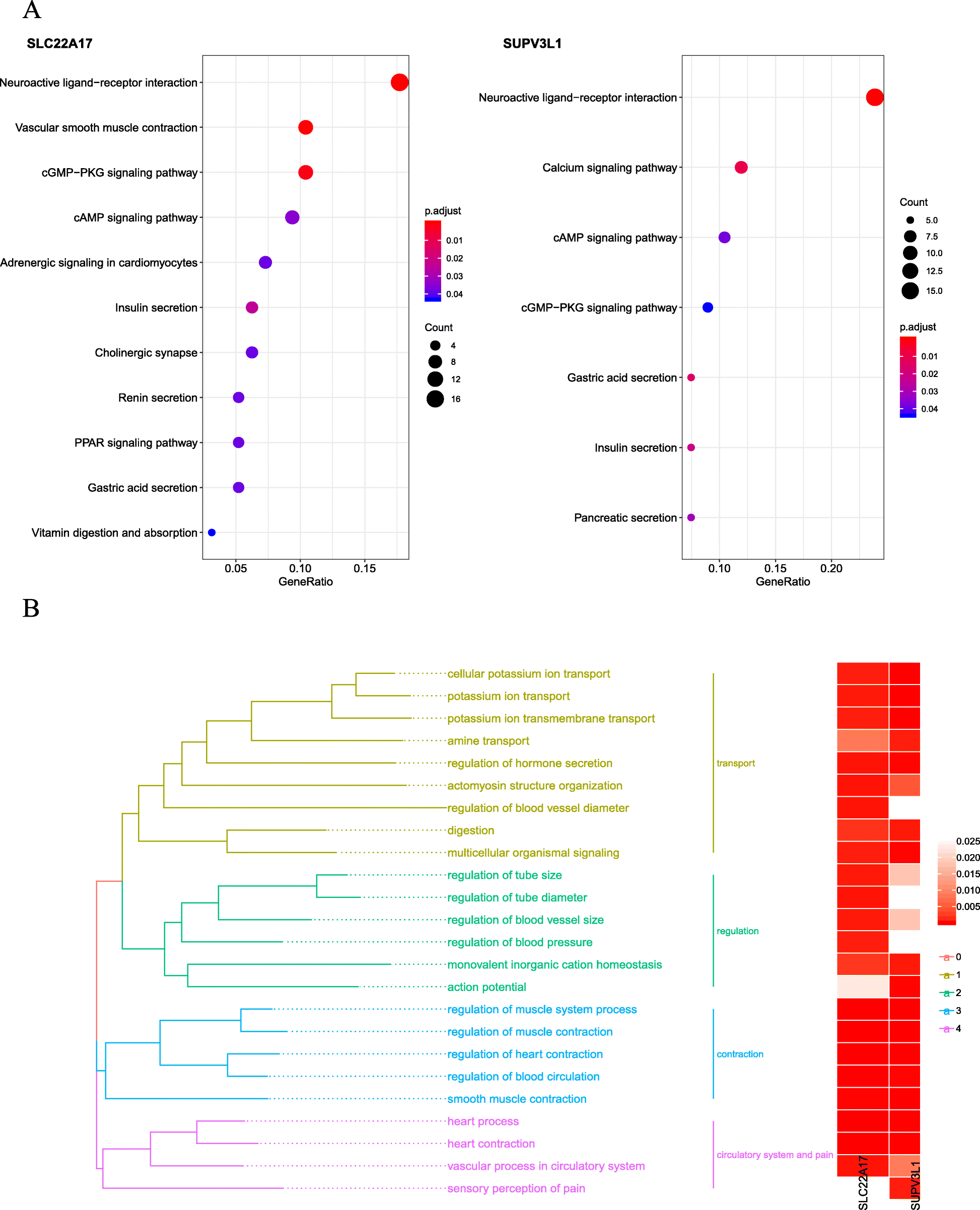 Fig. 6