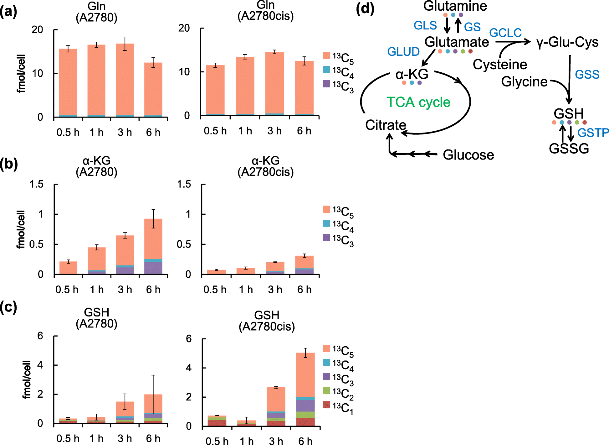 Fig. 2