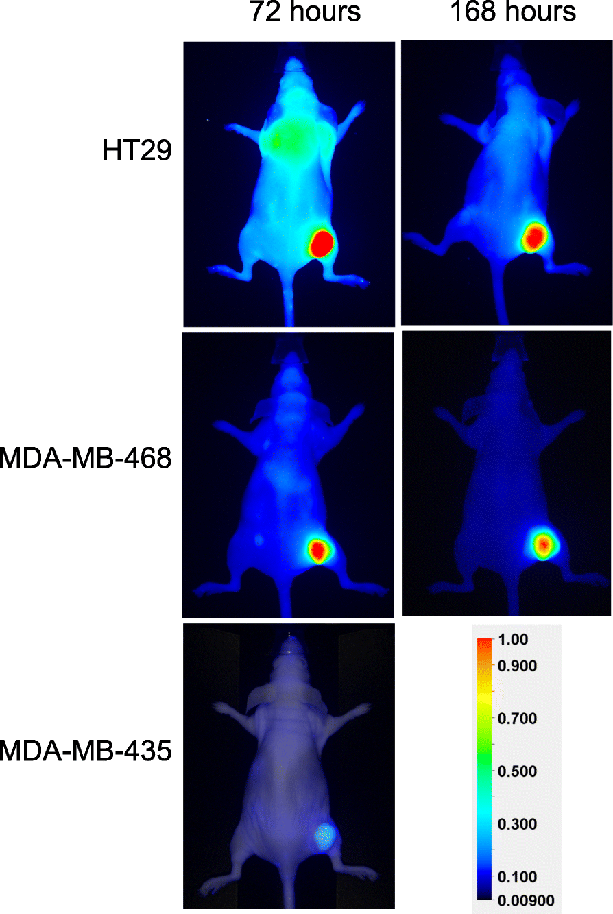 Fig. 4