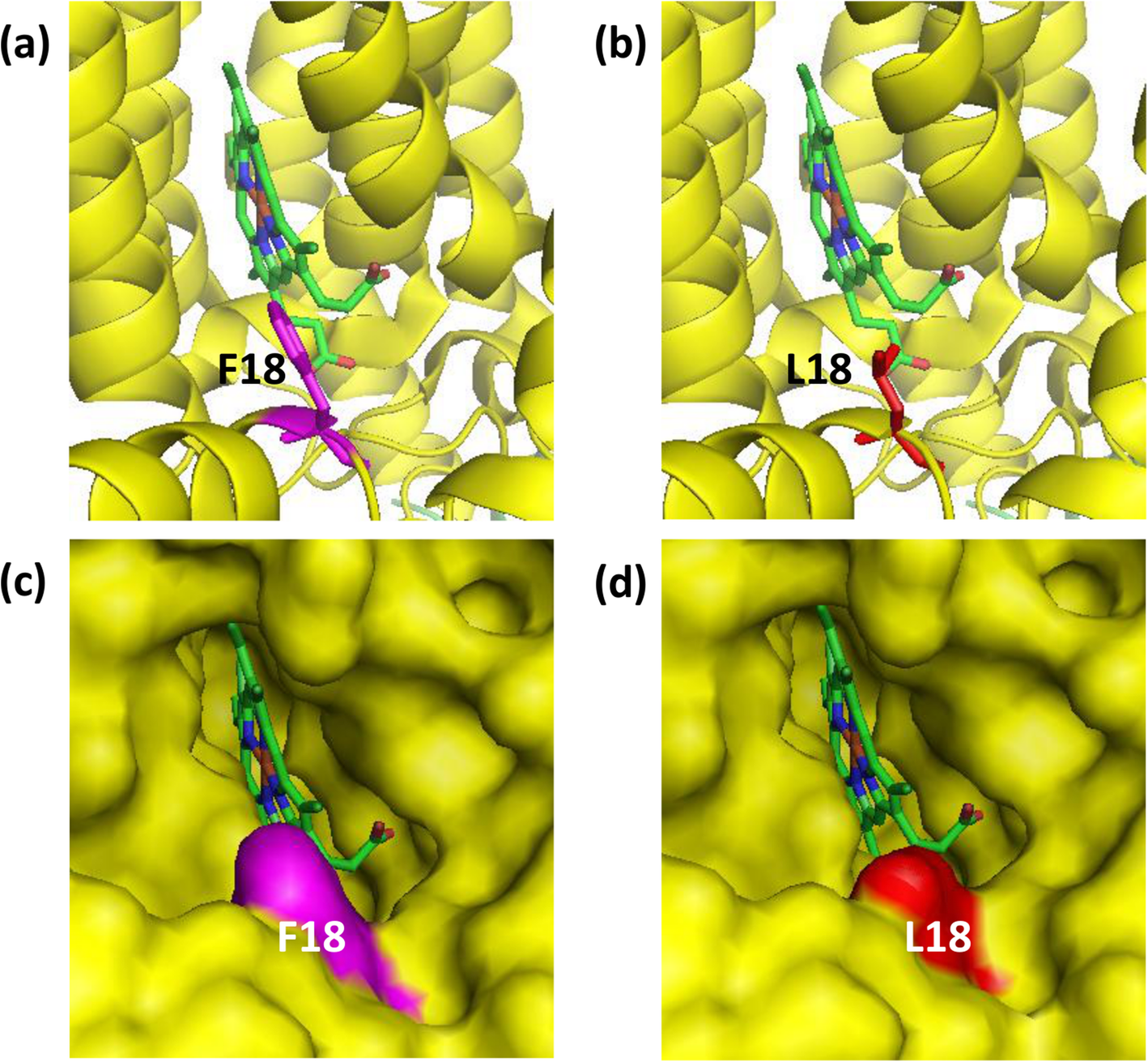 Fig. 6