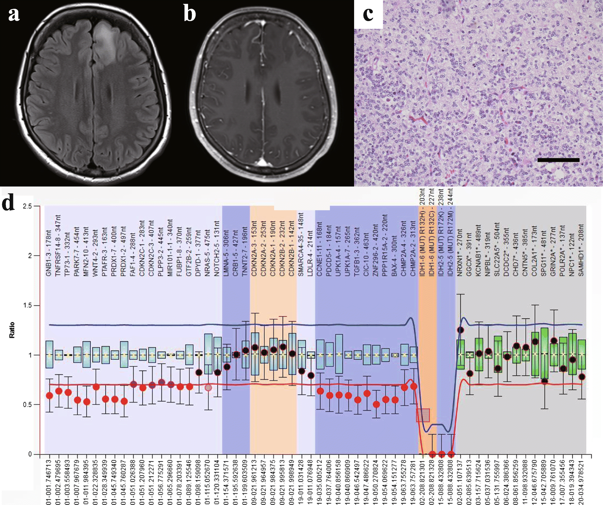 Fig. 1